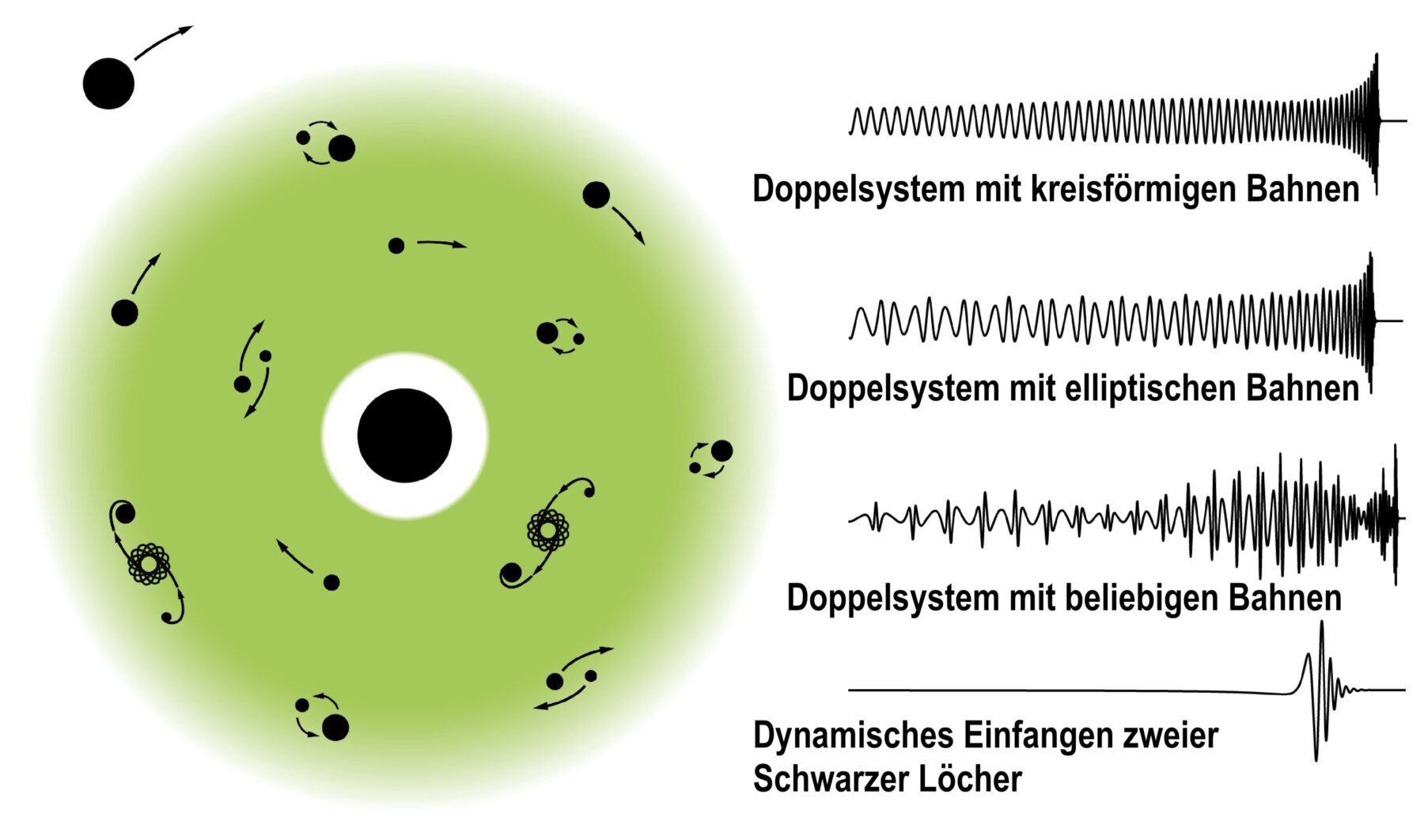 Das Unbekannte am Gravitationswellen-Himmel verstehen – Image160: © Ana Carvalho / Max-Planck-Institut für Gravitationsphysik (Albert-Einstein-Institut)